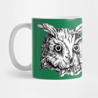 Sleepy Hollow Owl Head Mug